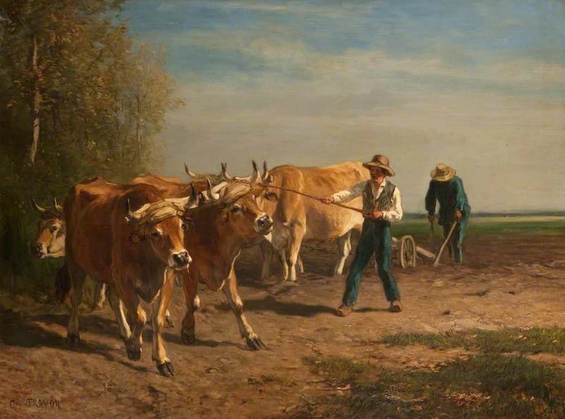 L'aratura - Museo Paisley e gallerie d'arte